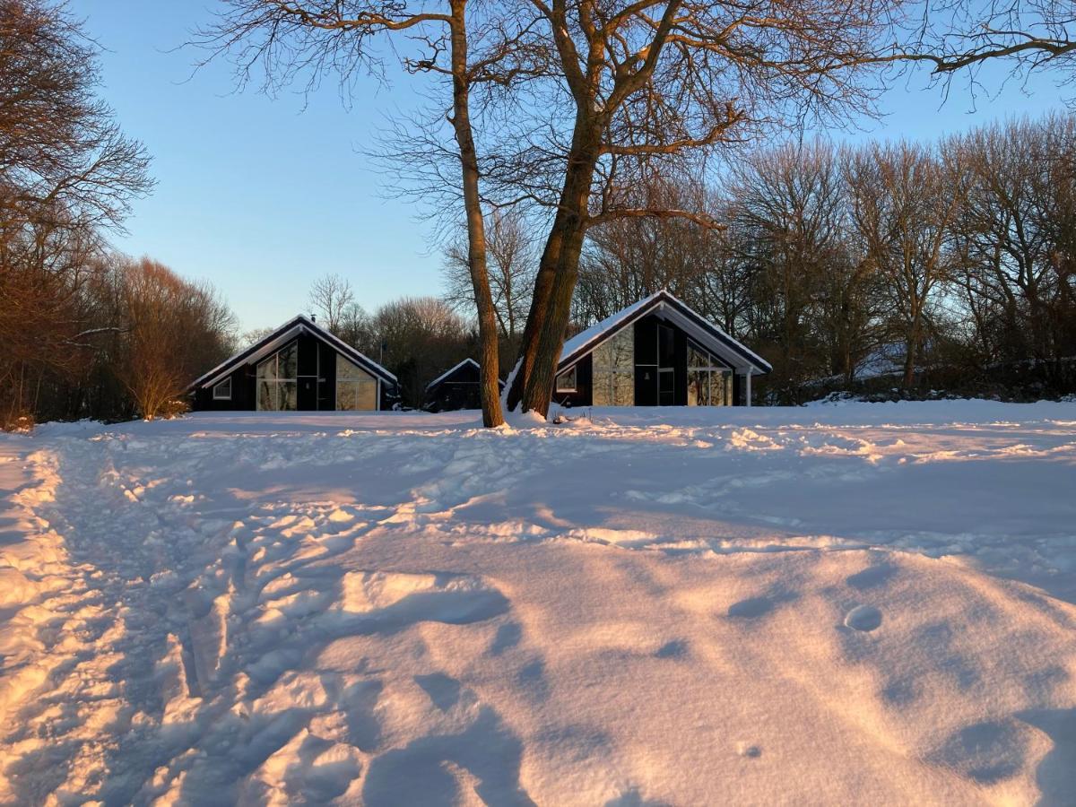 Ferienhaeuser Boddenstrand Wiek auf Ruegen Exterior photo